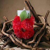 Vela de cera escamada